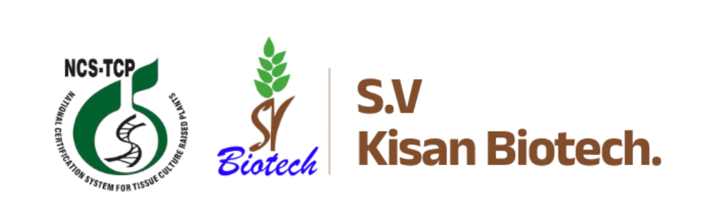 SV Kisan Biotech Indapur